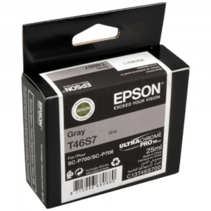 Ink Cartridge Epson T46S7 UltraChrome PRO 10 Ink, Gray, C13T46S700