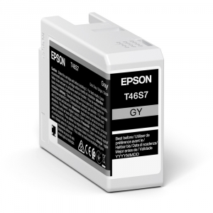 Ink Cartridge Epson T46S7 UltraChrome PRO 10 Ink, Gray, C13T46S700