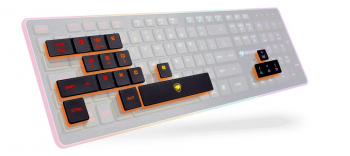 Gaming Keyboard Cougar Vantar, Scissor Switches, Silent, 8-Effect Multicolour Backlight, FN Key, USB