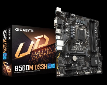 MB S1200 Gigabyte B560M DS3H 1.0  mATX