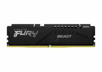 16GB DDR5-6000MHz  Kingston FURY Beast (KF560C40BB-16), CL40-40-40, 1.35V, Intel XMP 3.0, Black