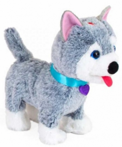 Noriel Pets - Catelusul Oliver