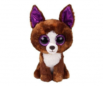 BB DEXTER - chihuahua 24 cm