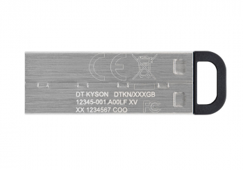 256GB USB3.2 Flash Drive Kingston DataTraveler Kyson, Silver, Metal Case, Key Ring (DTKN/256GB)