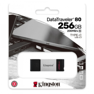 DT80/256GB
