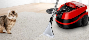 Vacuum Cleaner Bosch BWD421PET 