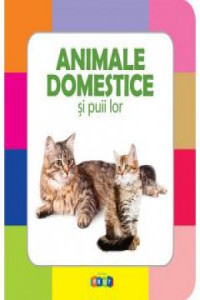 Animale domestice si puii lor (Prima mea cartea cu imagini)